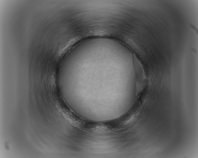 X0000099410256200805231612