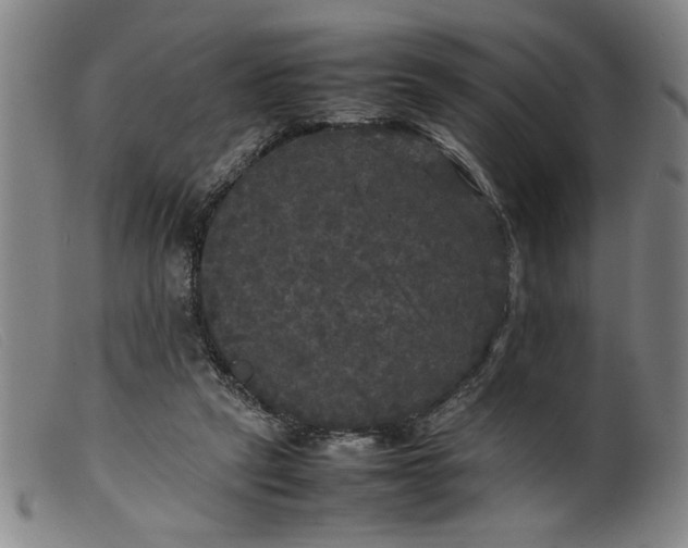 X0000099410257200805231612