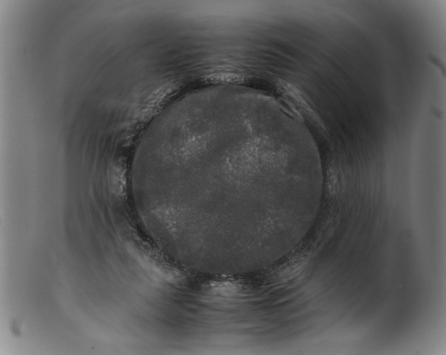 X0000099410259200805231612