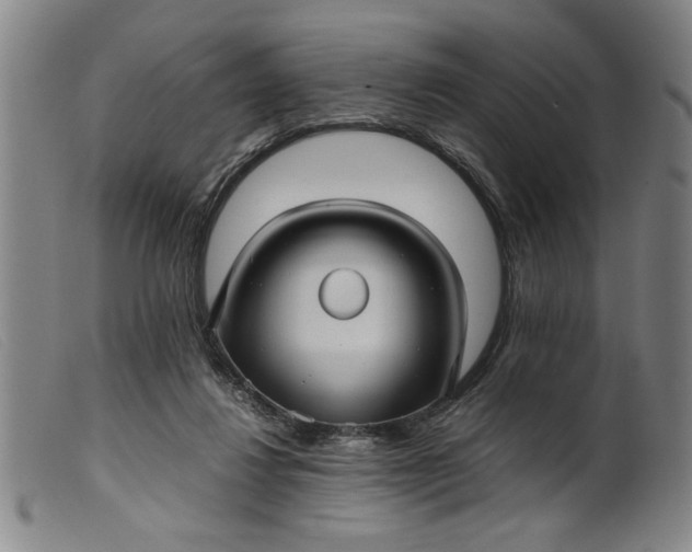 X0000099410260200805231612