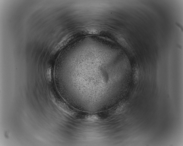 X0000099410262200805231612