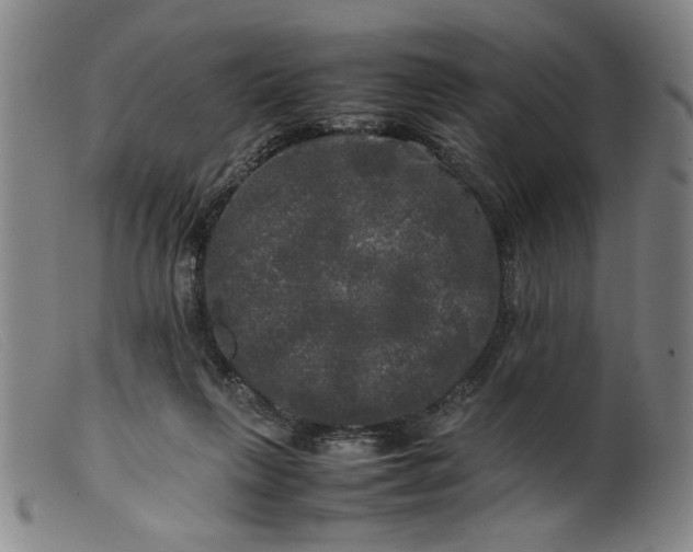 X0000099410263200805231612