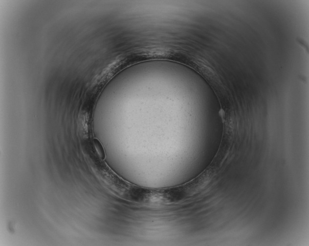 X0000099410264200805231612