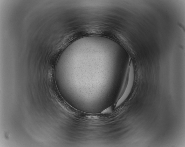 X0000099410265200805231612