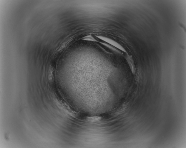 X0000099410266200805231612