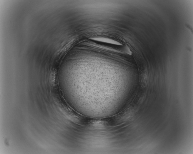 X0000099410268200805231612