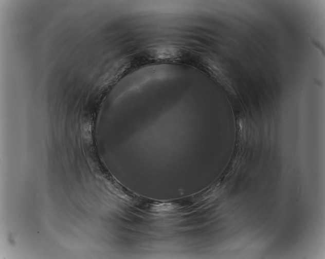 X0000099410269200805231612