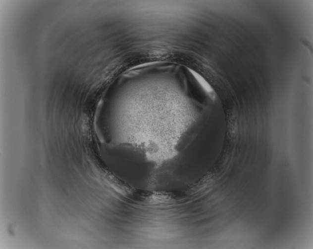 X0000099410270200805231612