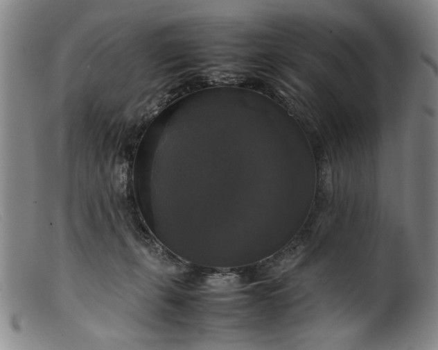 X0000099410271200805231612