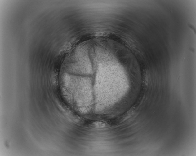 X0000099410272200805231612