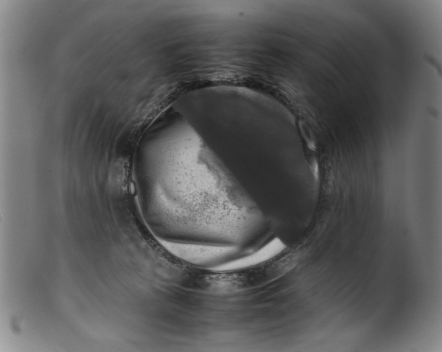 X0000099410273200805231612