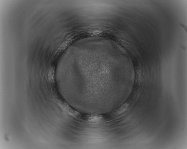 X0000099410274200805231612