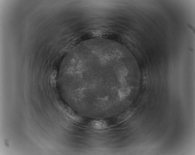 X0000099410275200805231612