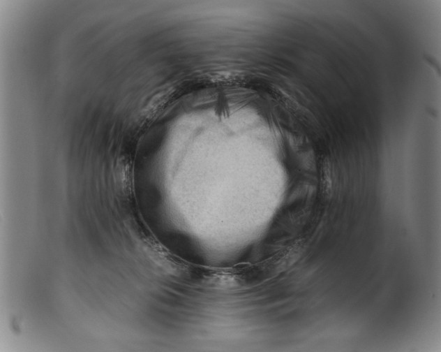 X0000099410276200805231612