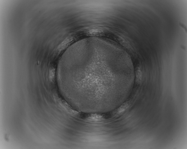 X0000099410278200805231612