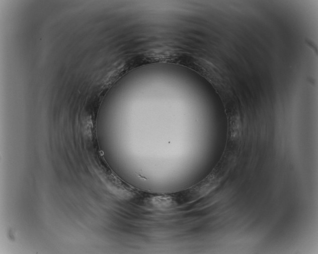 X0000099410279200805231612