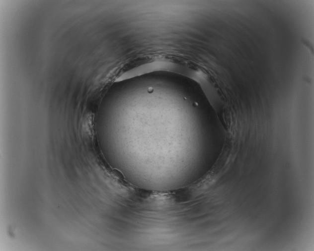 X0000099410280200805231612