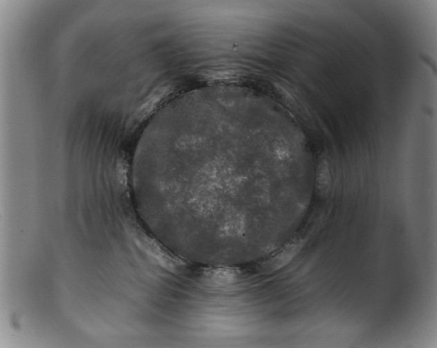 X0000099410282200805231612