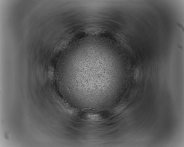 X0000099410283200805231612