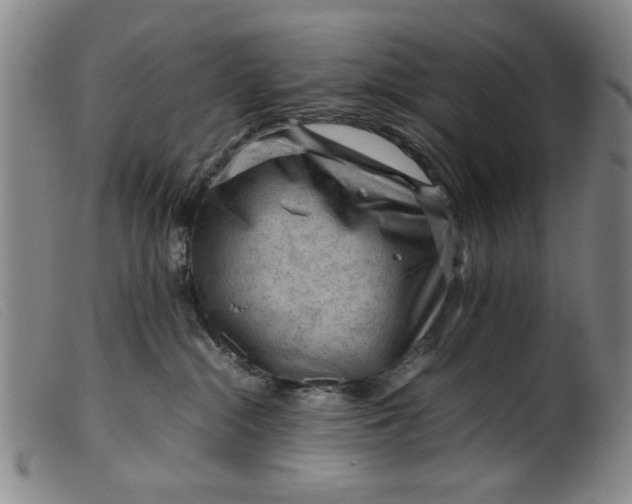 X0000099410284200805231612