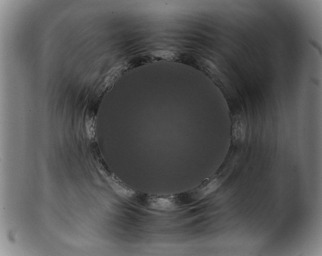 X0000099410285200805231612