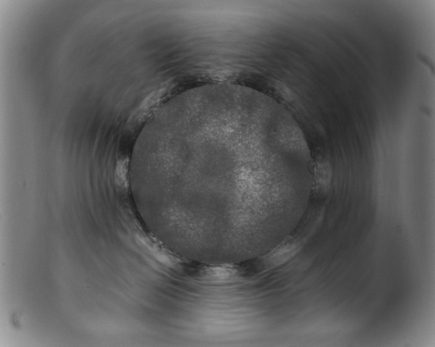 X0000099410286200805231612