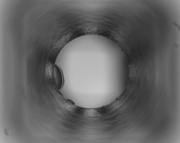 X0000099410287200805231612