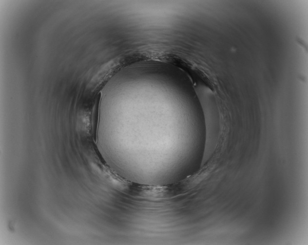 X0000099410288200805231612