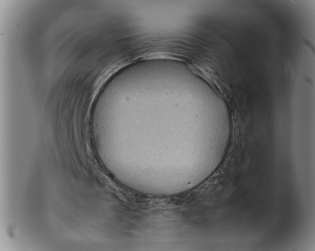 X0000099410289200805231611