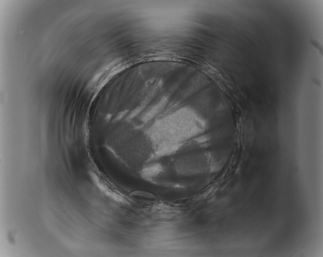 X0000099410290200805231611