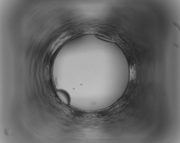 X0000099410291200805231611