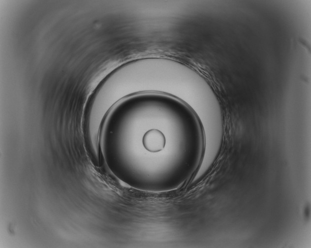 X0000099410292200805231611