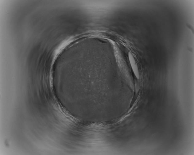 X0000099410294200805231611