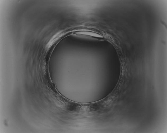 X0000099410295200805231611