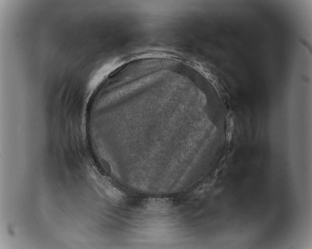 X0000099410296200805231611