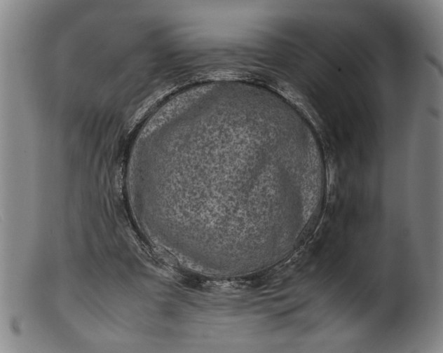 X0000099410297200805231611