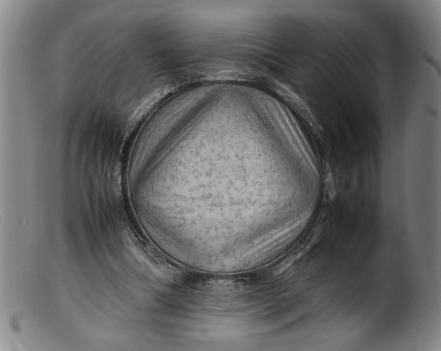 X0000099410298200805231611