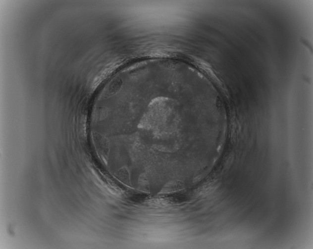 X0000099410299200805231611