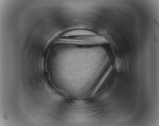 X0000099410300200805231611