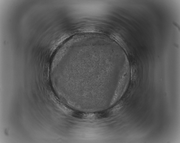 X0000099410301200805231611