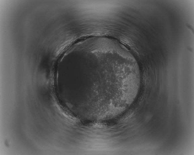 X0000099410303200805231611