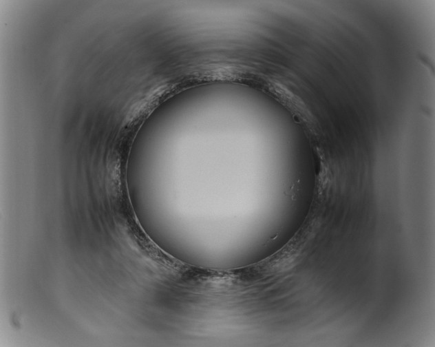 X0000099410306200805231611