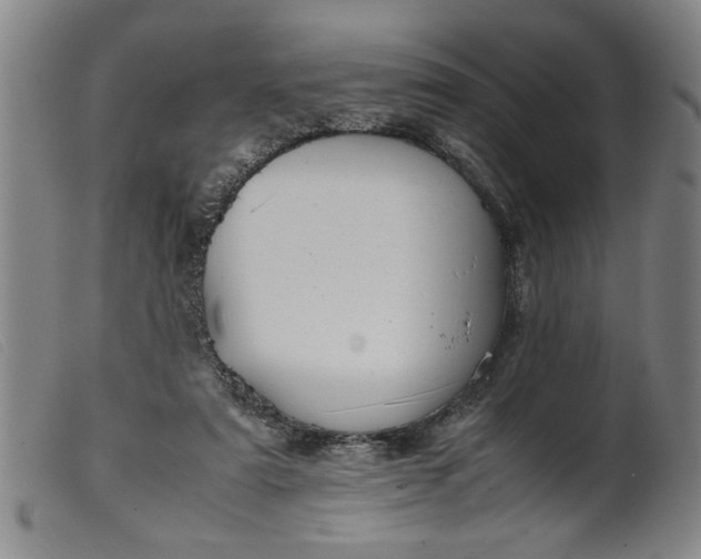 X0000099410307200805231611