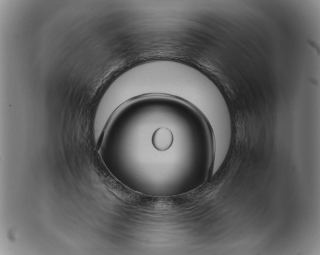 X0000099410308200805231611