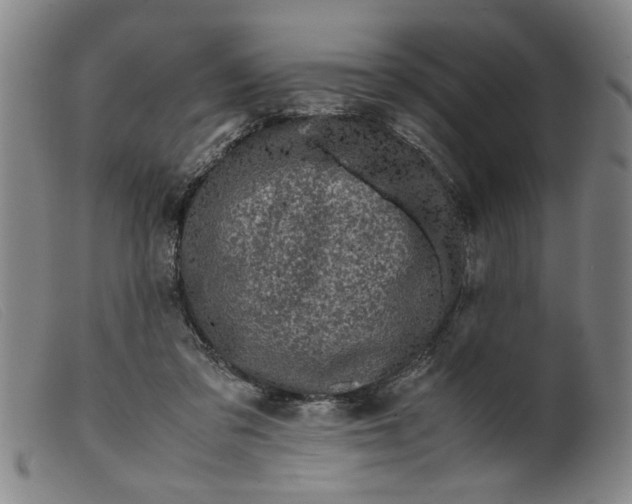 X0000099410309200805231611