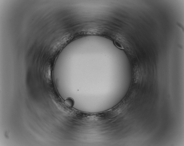 X0000099410310200805231611