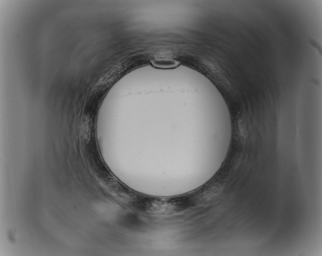 X0000099410311200805231611