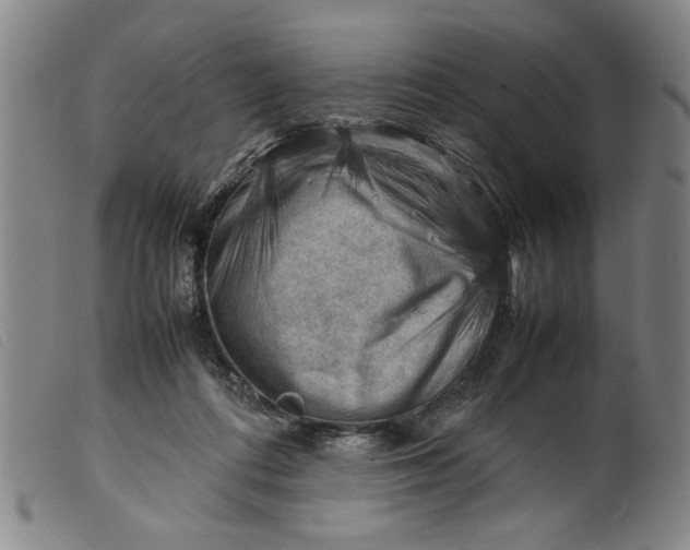 X0000099410312200805231611