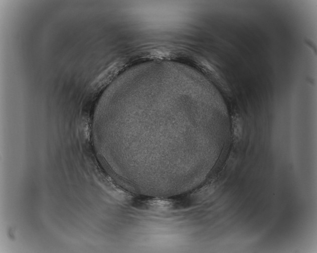 X0000099410313200805231611