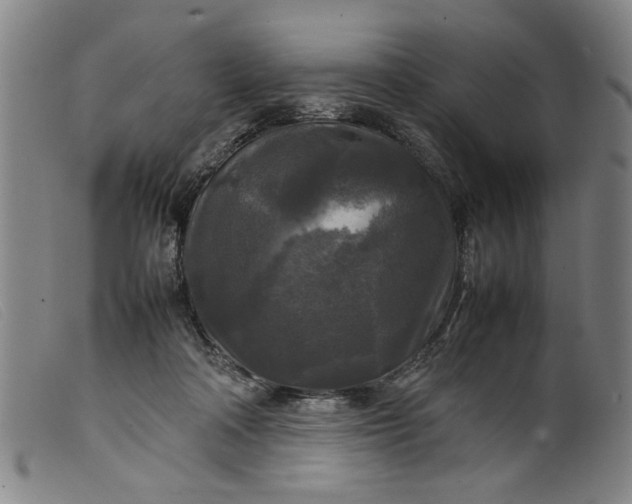 X0000099410314200805231611